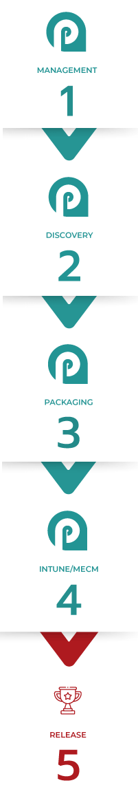 Total packaging model